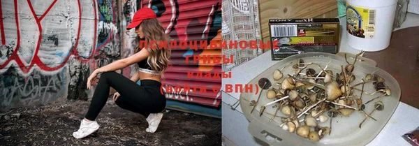 мяу мяу мука Лиски