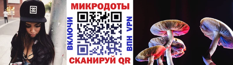 Псилоцибиновые грибы прущие грибы  Купить где  Щучье 